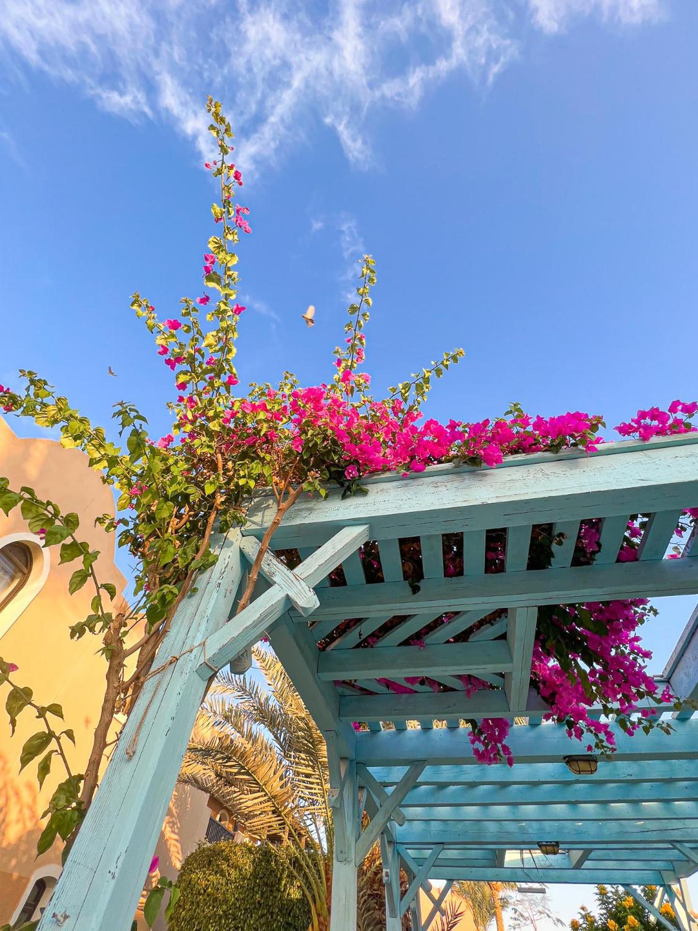Radisson Blu Resort El Quseir El Qoseir Bagian luar foto