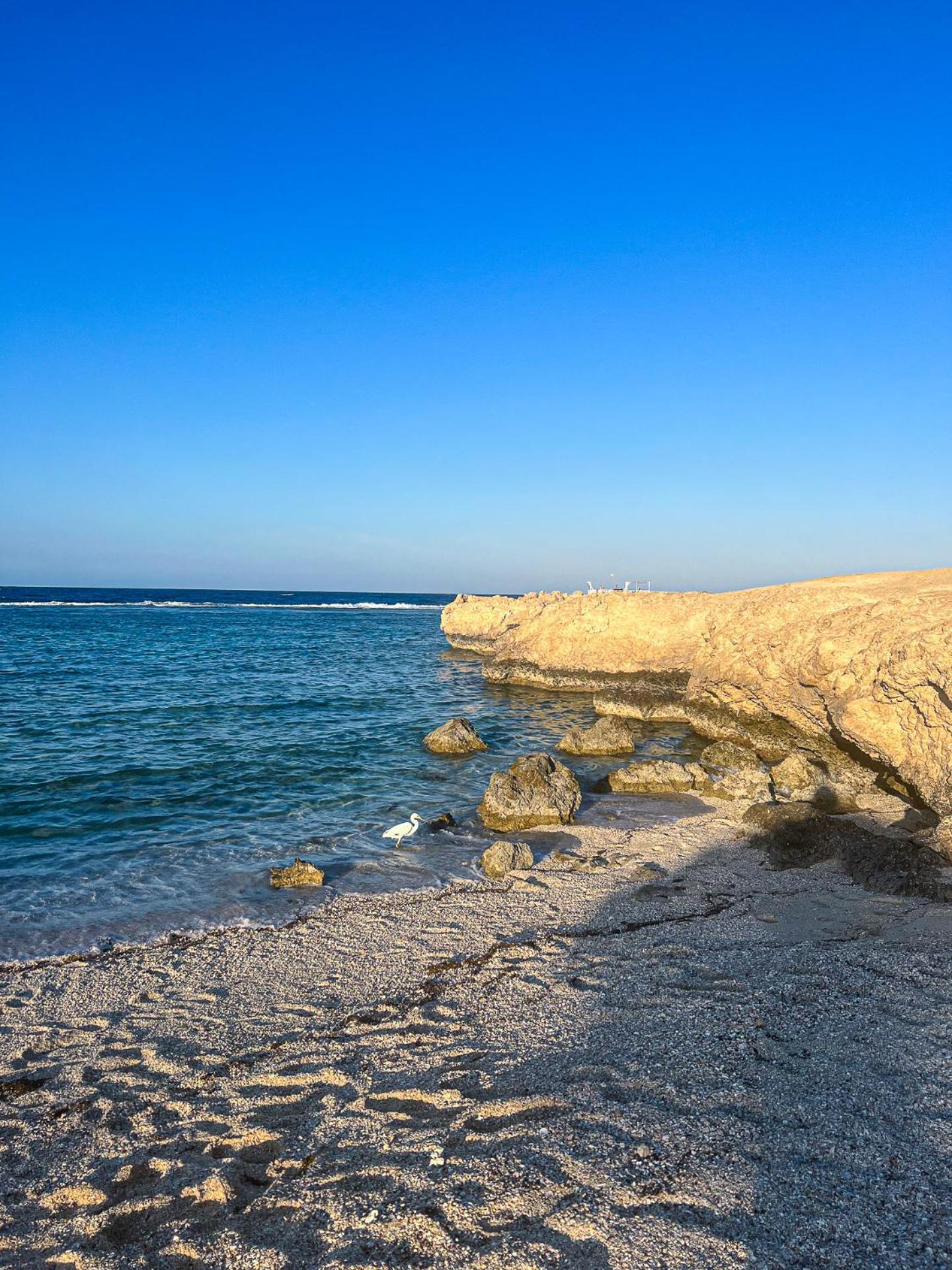 Radisson Blu Resort El Quseir El Qoseir Bagian luar foto